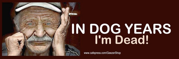 Old Geezer Bumper Stickers