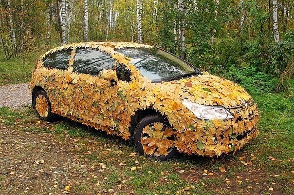Autumn Camoflage