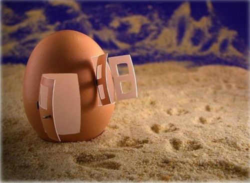 Egg House
