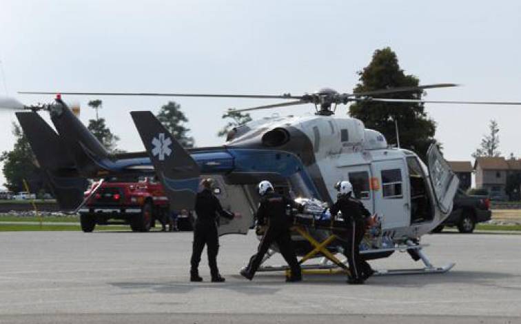 Bayflight Taking Him Away