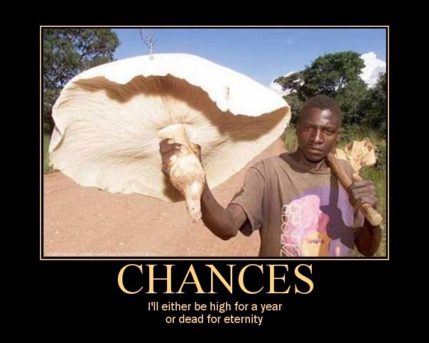 Chances Motivational Poster